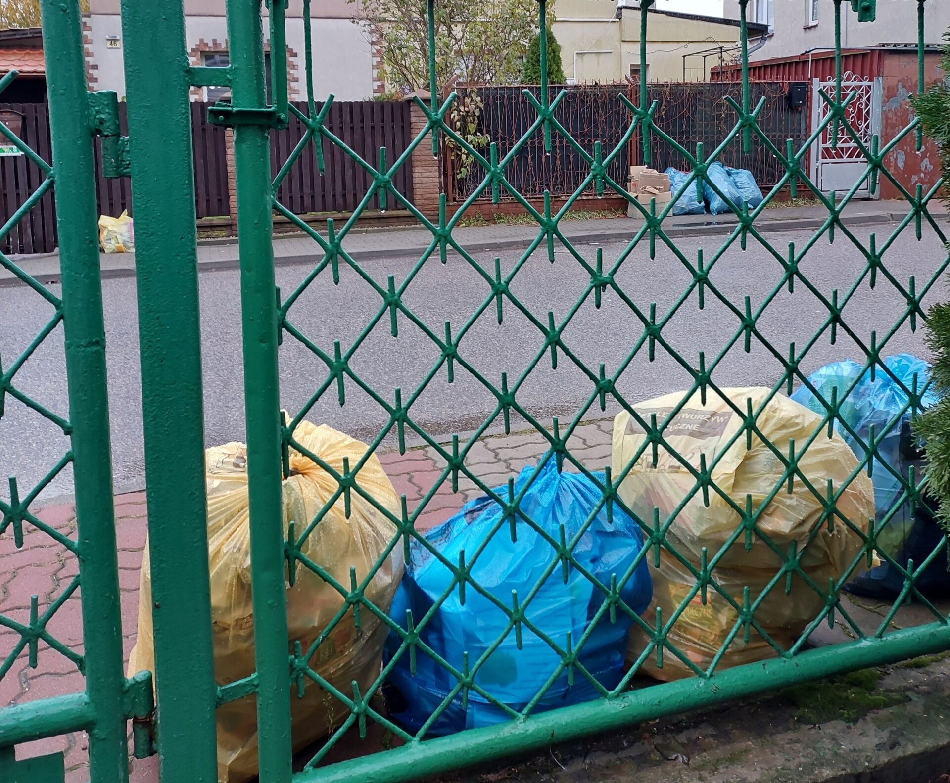 20251029_073939 - Magdalena Gronek